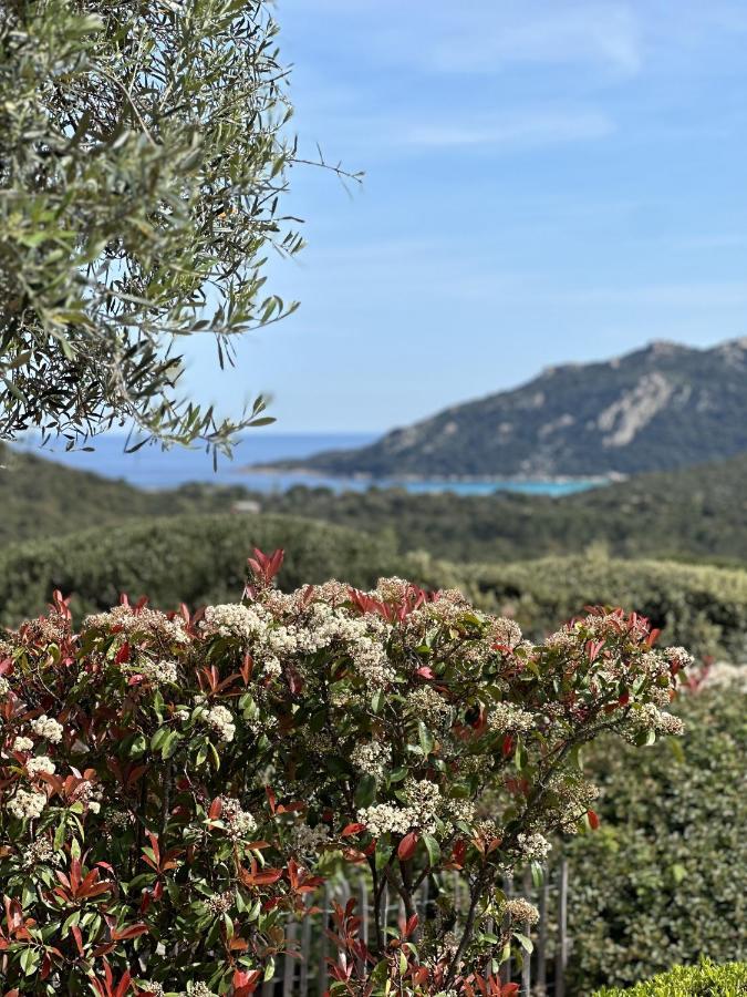 Вилла Tres Belle Bergerie Avec Piscine Chauffee A 1 Km De Santa Giulia Порто-Веккьо Экстерьер фото
